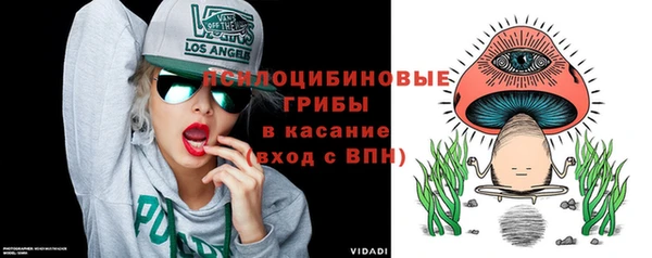 apvp Белокуриха
