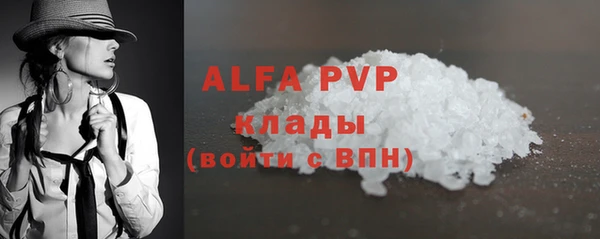 apvp Белокуриха