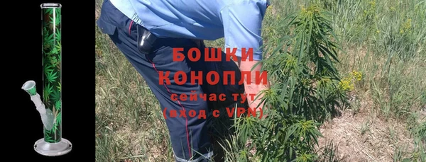 apvp Белокуриха