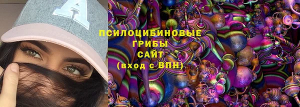 PSILOCYBIN Беломорск