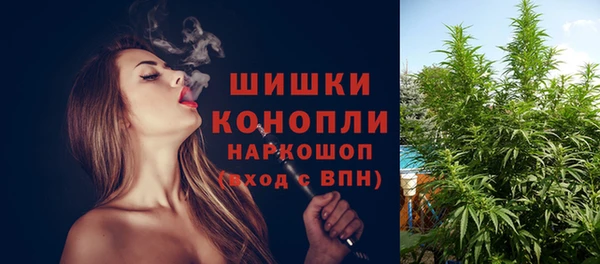 apvp Белокуриха