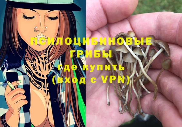 PSILOCYBIN Беломорск