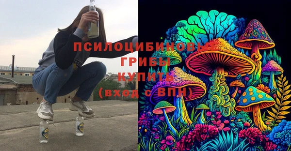 дурь Семёнов