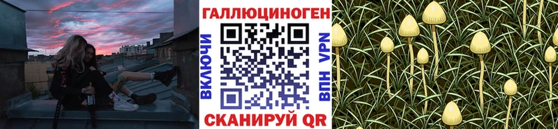 Галлюциногенные грибы Cubensis  Невьянск 